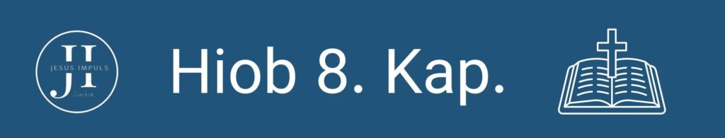 Hiob 8