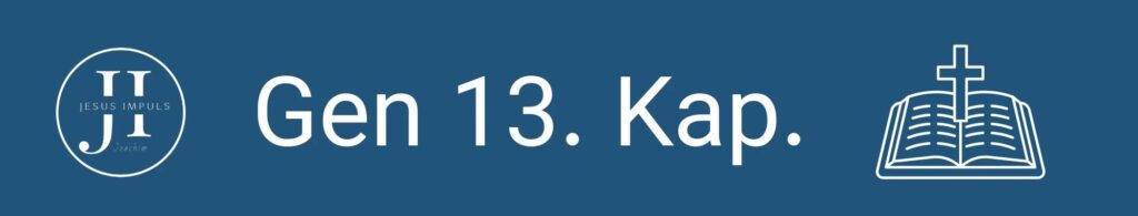 Gen 13