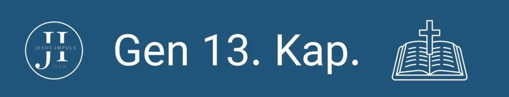 Gen 13