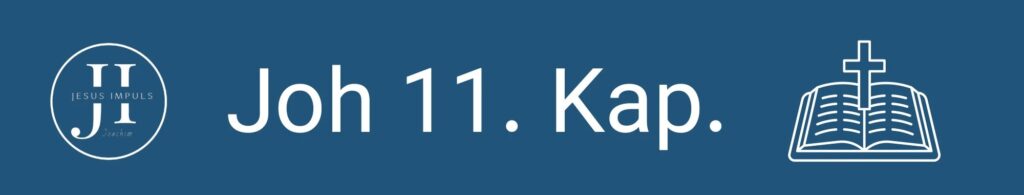 Joh 11