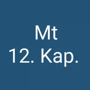 Mt 12