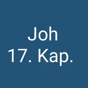 Joh 17