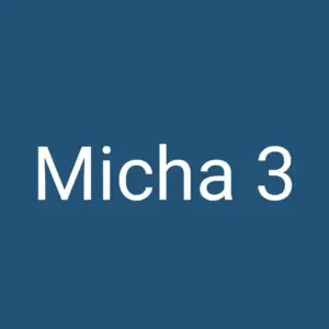Tägliche christliche Andacht Micha 3