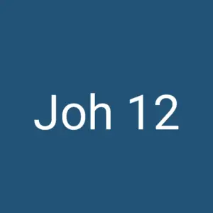 Tägliche christliche Andacht Joh 12