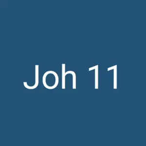 Joh 11