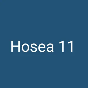 Tägliche christliche Andacht Hosea 11