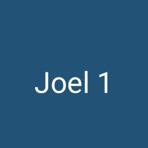 Tägliche christliche Andacht Joel 1