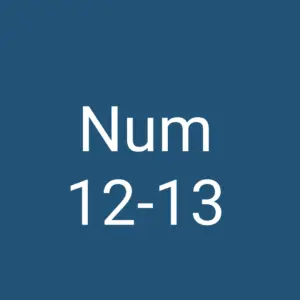 Tägliche christliche Andacht Num 12-13