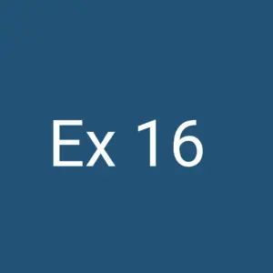 Ex 16