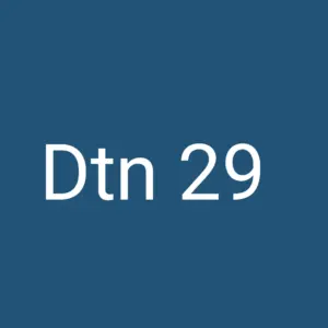 Dtn 29