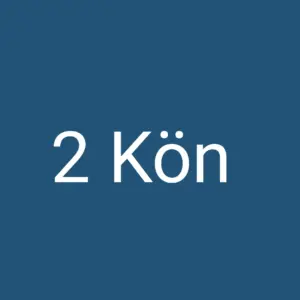 2 Kön