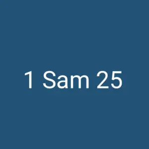 1 Sam 25
