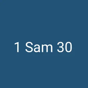 1 Sam 30
