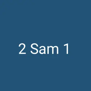 Tägliche christliche Andacht 2 Sam 1