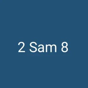Tägliche christliche Andacht 2 Sam 8