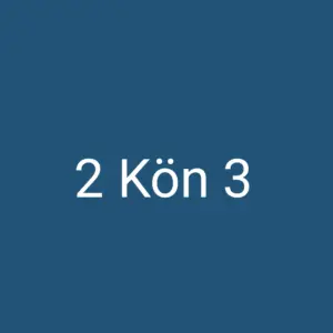 2 Kön 3