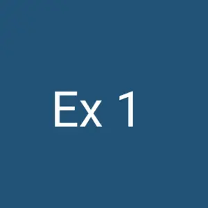 Ex 1